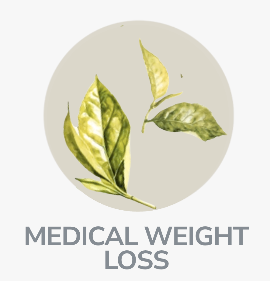 HOLISTIC WOMEN’S HEALTHCARE